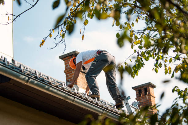 Best Roof Insulation Installation  in Brooklyn Park, MN
