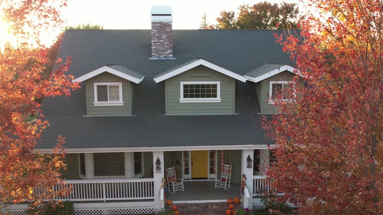 Best Green or Eco-Friendly Roofing Solutions  in Brooklyn Park, MN