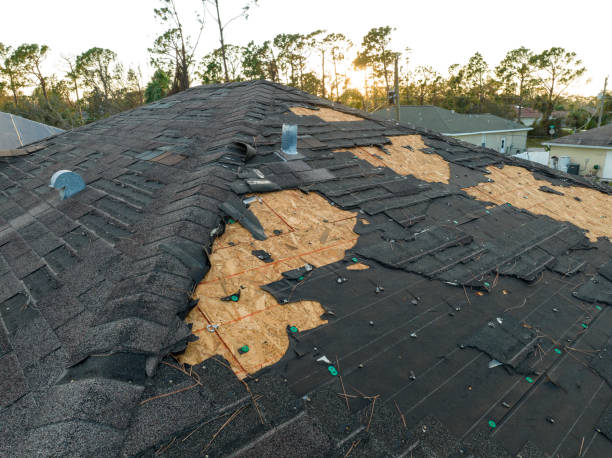Best Roof Leak Repair  in Brooklyn Park, MN