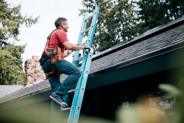 Best Asphalt Shingle Roofing  in Brooklyn Park, MN